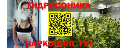 Альфа ПВП Жуковский